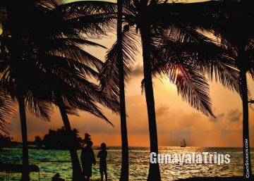 Gunayala Tours
